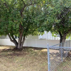 Cleanups by A&D Lawn Service reviewed on June 24, 2022