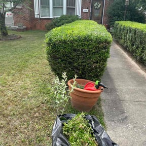 Bush Trimming by l&r asphalt Repair reviewed on April 24, 2022