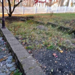 Leaf Removal by Moreno landscaping reviewed on April 11, 2025