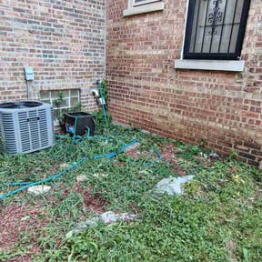 Weeding by LSLTDallas/FortWorthTruGreen reviewed on June 26, 2025