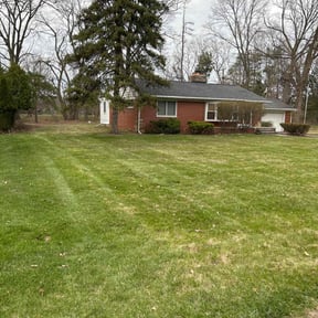 Leaf Removal by Triple Crown Landscape reviewed on June 5, 2020
