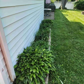 Cleanups by TOLT LANDSCAPE reviewed on August 5, 2022
