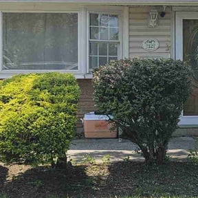 Bush Trimming by Curry's mowing reviewed on August 6, 2022