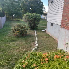 Bush Trimming by Supreme Home Services reviewed on April 25, 2021