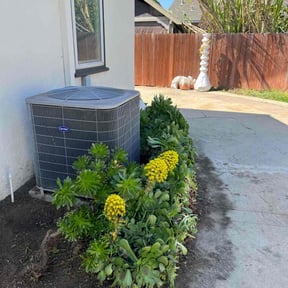 Cleanups by Them Joneses reviewed on July 2, 2020
