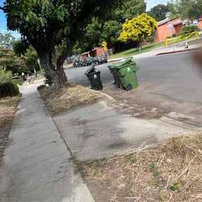 Leaf Removal by Fuse Outdoor Lighting and Landscape reviewed on March 28, 2022