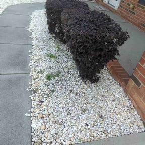 Bush Trimming by American  lawn care reviewed on September 9, 2020