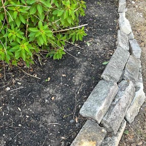 Flower Bed Weeding by Cantus Lawn Care reviewed on October 14, 2024