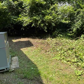 Cleanups by Castrolawns reviewed on June 24, 2022