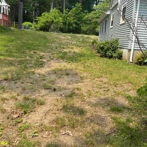 Lawn Seeding by Jay Bradley reviewed on August 8, 2022