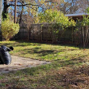 Leaf Removal by Jeri Cleaning Services reviewed on April 30, 2025