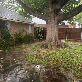 Leaf Removal by Gourley Greenery reviewed on July 21, 2022