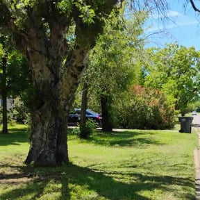 Cleanups by CH Lawn Service reviewed on July 3, 2022