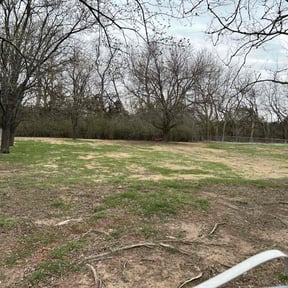 Leaf Removal by Vividlawncare reviewed on April 27, 2022