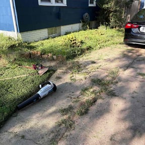 Flower Bed Weeding by Lawn Mowing Sccott reviewed on July 7, 2022