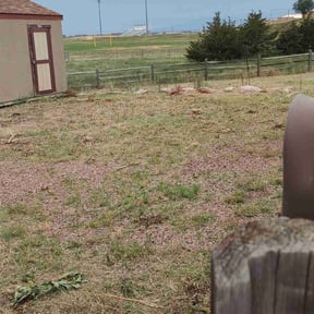 Cleanups by I Got You, LLC reviewed on September 15, 2024