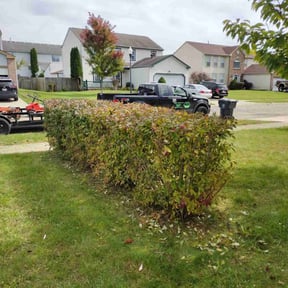 Bush Trimming by MJ&#039;S Lawn service reviewed on September 15, 2024