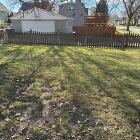 Leaf Removal by S&S Lawn Care reviewed on June 6, 2022