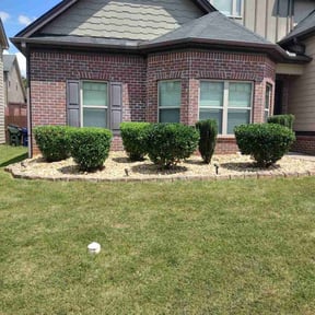 Bush Trimming by LSLTDallas/FortWorthTruGreen reviewed on June 14, 2024