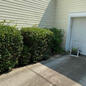 Bush Trimming by Property Pro reviewed on March 20, 2025