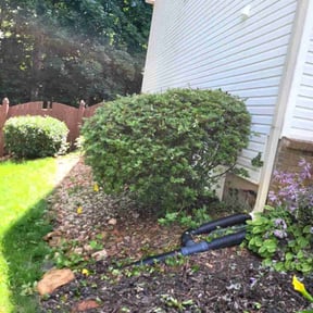 Bush Trimming by Integrity Lawn Care reviewed on July 23, 2022