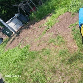 Cleanups by CLIFFS Lawn & More reviewed on May 12, 2022