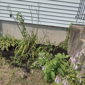 Mulching by Quick Snips reviewed on July 10, 2022