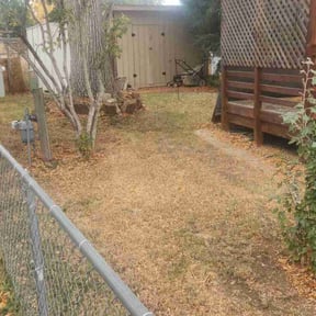 Leaf Removal by Okie Lawn and Landscape reviewed on October 27, 2022