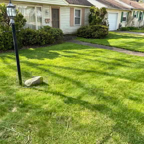 Cleanups by P&A Landscaping reviewed on June 19, 2022
