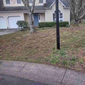 Leaf Removal by American lawn care reviewed on October 21, 2022