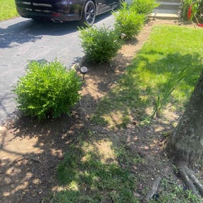 Flower Bed Weeding by Curtis Mccowin reviewed on March 18, 2022