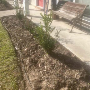 Flower Bed Weeding by Brotherz Landscaping reviewed on June 3, 2022
