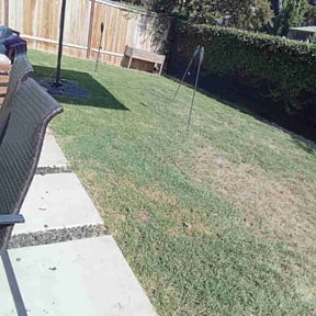 Cleanups by Krahns Lawn Services reviewed on June 11, 2020