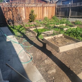 Leaf Removal by Vill’s landscaping reviewed on May 5, 2025