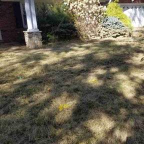 Weed Pulling by Geezs Lawn Care reviewed on October 15, 2024