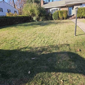 Leaf Removal by Byers Lawn reviewed on June 16, 2022