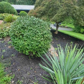 Flower Bed Weeding by Martin LLC reviewed on April 27, 2025