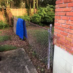 Leaf Removal by Aparicio Lawn Care reviewed on October 20, 2022