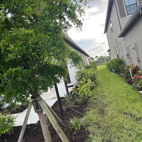 Cleanups by New world order llc (Four seasons Lawn Care N More) reviewed on July 26, 2022