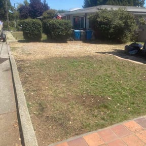 Cleanups by Sir Knights Lawn Care reviewed on June 14, 2022