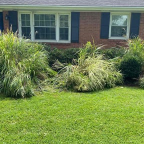 Bush Trimming by A&J Lawn Care reviewed on August 3, 2024
