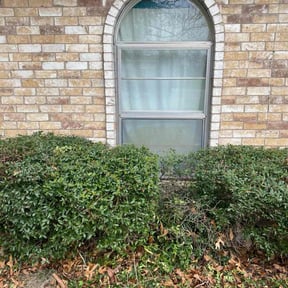 Bush Trimming by Chek'Rd Lawn Service reviewed on June 10, 2022