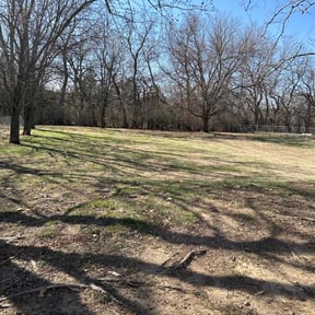 Leaf Removal by Petronius reviewed on April 27, 2022