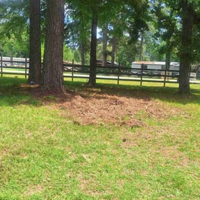 Cleanups by Star Landscaping reviewed on June 28, 2025