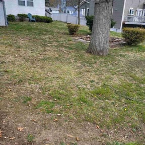 Leaf Removal by Cody Prescher reviewed on June 21, 2022