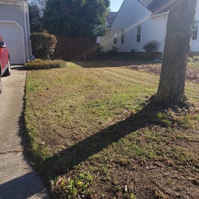 Leaf Removal by A Helping Hand Services LLC reviewed on April 28, 2025