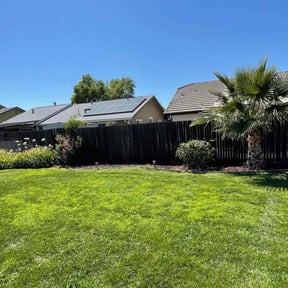 Cleanups by Vatter's Landscape and Construction reviewed on June 3, 2021