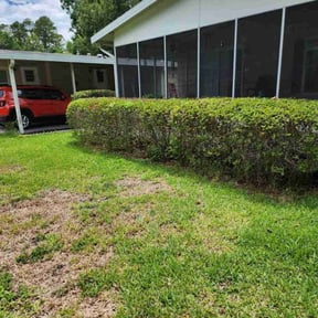 Bush Trimming by KC Lawn&Home reviewed on May 2, 2022