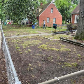 Leaf Removal by Jeri Cleaning Services reviewed on August 18, 2024