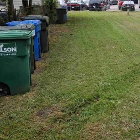 Leaf Removal by Morgan landscaping llc reviewed on June 7, 2025